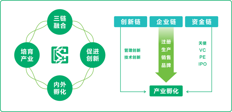 K8凯发基因赋能生物医药全链发展