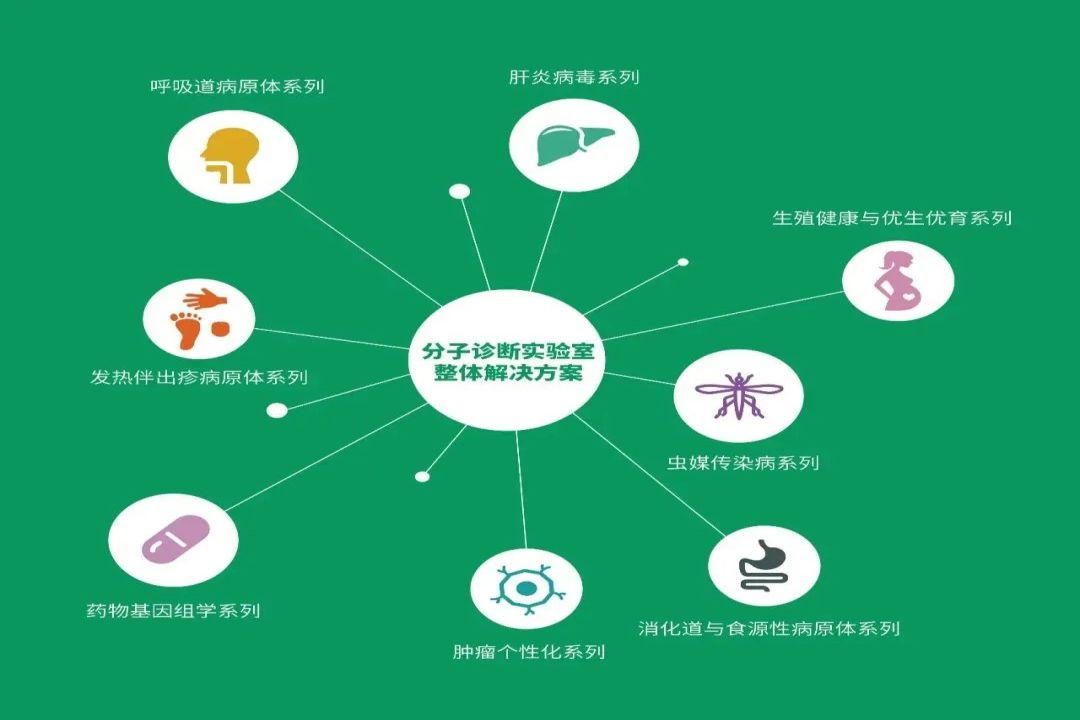 K8·凯发(中国)天生赢家·一触即发