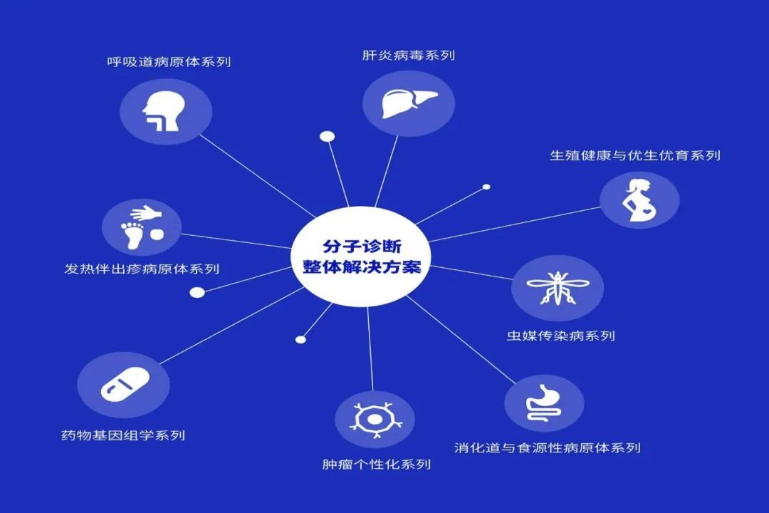 K8·凯发(中国)天生赢家·一触即发
